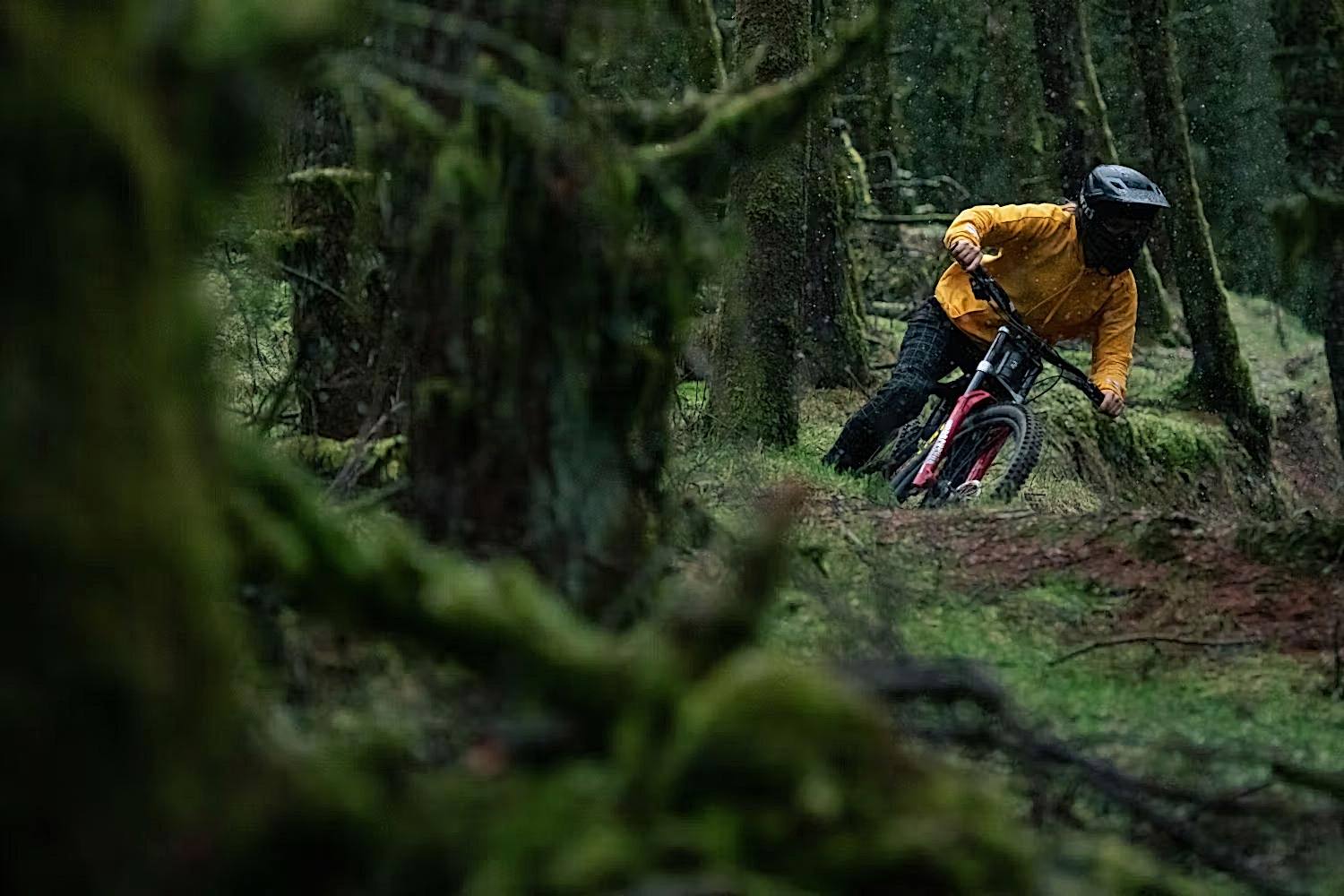 Real Mountain Bike 2021