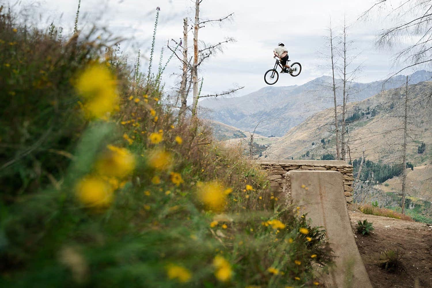 Real MTB 2024 in Review